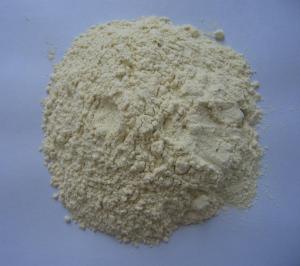 脱水洋葱粉